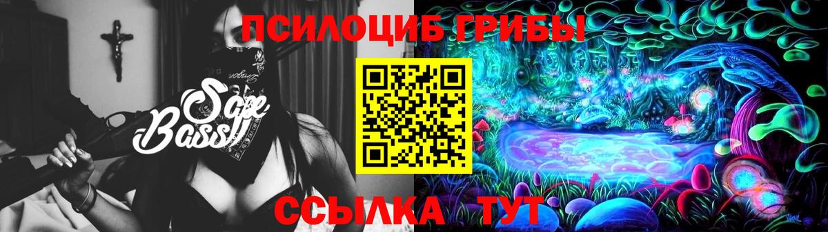 Галлюциногенные грибы прущие грибы Бутурлиновка